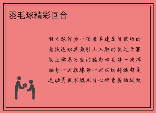 羽毛球精彩回合